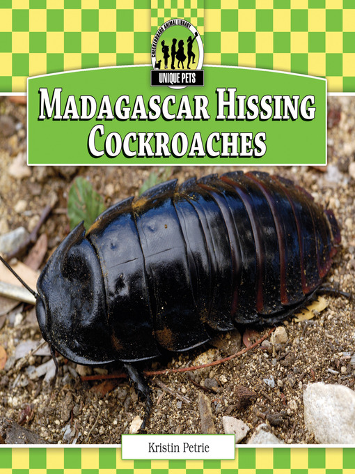 Title details for Madagascar Hissing Cockroaches by Kristin Petrie - Available